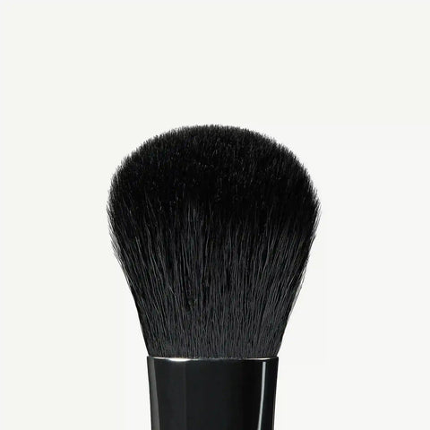 A19 Pro Brush - Blush Brush